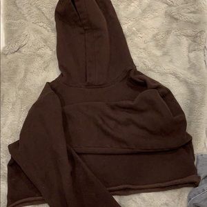 Aritizia cropped sweater